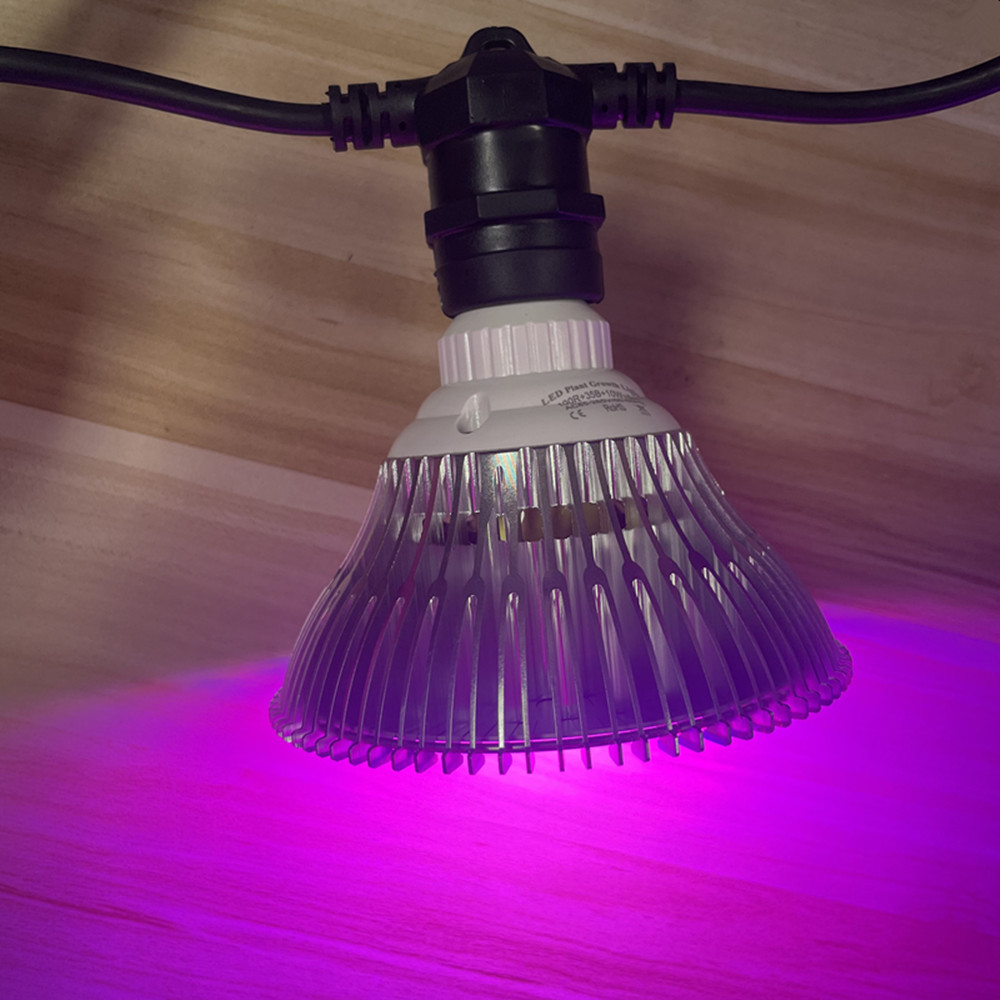 10M Kablo LED Dize Işık Zincir - Outdoor Lighting Strip incelemesi ve fiyatı